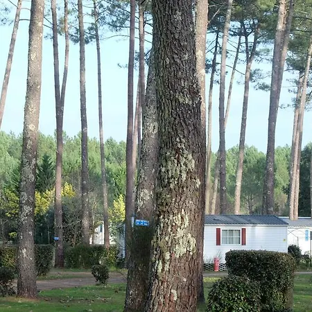 Officiel Siblu Les Dunes De Contis Camping Saint-Julien-en-Born